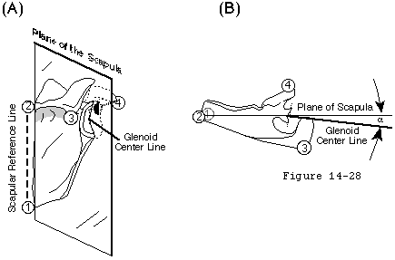 Figure 22