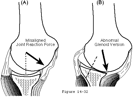 Figure 24