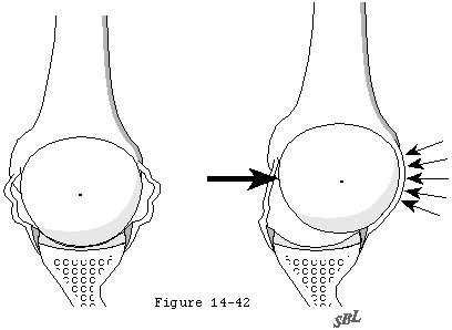 Figure 28