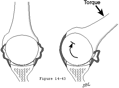 Figure 29
