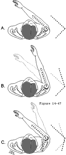 Figure 32