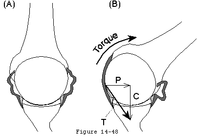 Figure 34