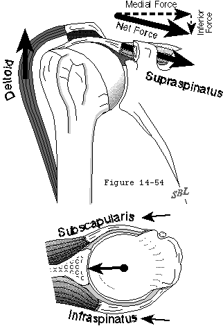 Figure 40