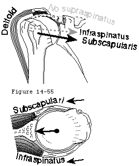 Figure 41