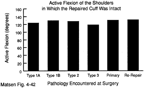 Figure 15 - Active flexion of the shoulders in which the repaired cuff was intact