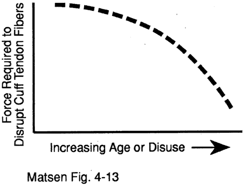 Figure 1 - Cuff strength changes with age