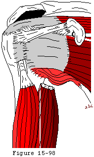 Figure 42