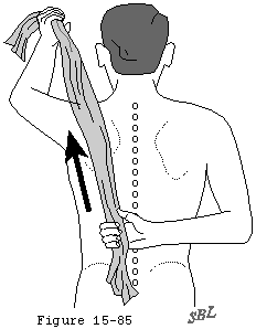 Figure 33