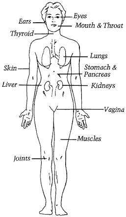 Figure 1 - Areas that may be affected by Sjogren's syndrome