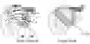 Reverse Total Shoulder