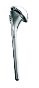 Figure 3 - Humeral implant