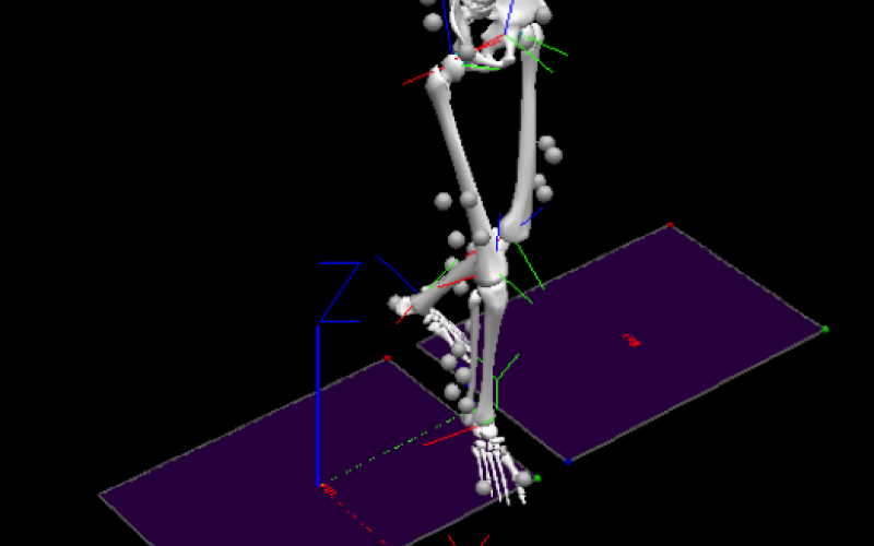 Core Lab image