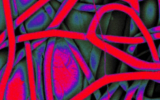 Tissue and Regenerative Engineering (TARE) Lab